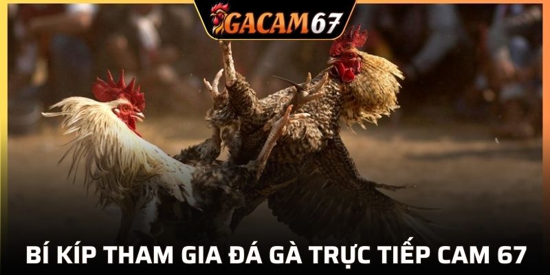 Bật mí kinh nghiệm xem trận đấu đẳng cấp